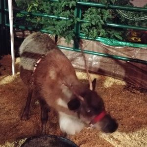 Meet your Posher, Felipe